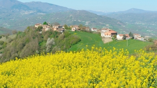 SORGENTE DI ACQUA OLIGOMINERALE DI CEREGLIO